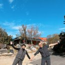 김치만선생 이미지