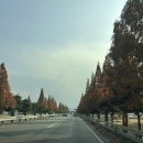 새미리벌로 | 삼문동 맛집 밀양 찜닭 두찜 밀양삼문점 포장 후기