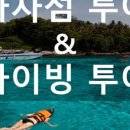 디다이브