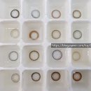 파인 안경원 이미지