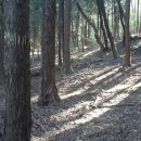 명곡동250 이미지