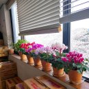 광양튼튼정형외과의원 이미지