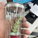 시민종합사회복지관 이미지