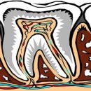 오페라치과의원 이미지
