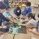 무릉초등학교 이미지