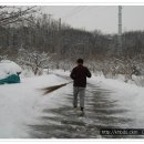 강원도로 이사간 사람의 뒤집어지는 일기 이미지