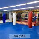 용인대GX복싱 이미지