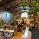 293 | 대형 카페인데 빵이 너무 맛있어서 놀란 세종 시선293 솔직 후기