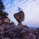 상남도서관 이미지