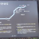 "'입동'(立冬)후 '양재천'과 '여의천' 산책"＜2024.11.08(금)＞ 이미지