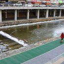 도림천에서 용나는 작은도서관 이미지