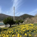 구조라로 2길 이미지