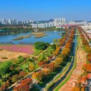 화랑유원지 이미지