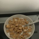 한's 당구 | 캐나다 토론토 어학연수 I 2주차(1) I 몬트리올, 퀘백 여행 I via rail 후기 I 겨울 캐나다 여행