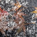 금산1세천 이미지