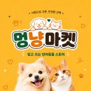 멍냥스토리 - 양주시 옥정로 204 | [2-4 AI를 활용한 카피라이팅 개인과제] 멍냥마켓 특정 제품 키워드를 활용한 블로그
