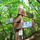 대명산기
