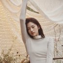 더블유-컬렉션