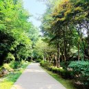 남산뜰 건강마당 | 남산 한국숲정원 방문 후기｜가족과 함께 가기 좋은 숲공원