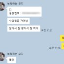 영시기과일이야기 이미지