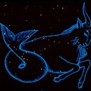 염소자리 이미지