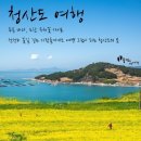 (토요 힐링여행) 4월 11일 "느려서 행복한 시간" 봄향기 가득한 신비의 섬, 청산도 슬로걷기 축제 이미지