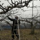 삼정농원 이미지