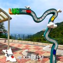 강원도 횡성군 교항로 | 강원도 루지체험 횡성 루지체험장 예약 할인 액티비티 놀거리