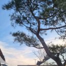 거송식당 이미지