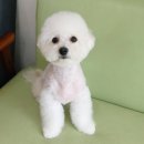 미모아미용실 네이버블로그