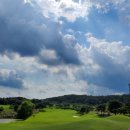 올레 골프존 이미지