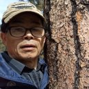 라루즈LA LUZ 이미지