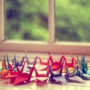 머리사랑 이미지