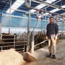 남매한우농장 이미지