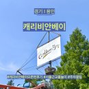 경기 I 용인 캐리비안베이 오픈런 후기 주차부터 순서 준비물 꿀팁 총정리