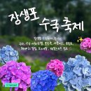 남구민과 함께하는 송년음악회 | 장생포 수국축제 후기｜주차, 수국 개화 상황, 포토존, 셔틀버스, 불꽃쇼, 퍼레이드 일정, 모노레일...