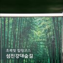 섬진강대숲길 이미지