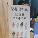 강릉;앨리스 이미지