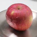 섭이네농장 이미지