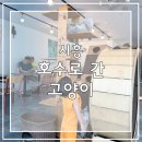 호수로 간 고양이 네이버블로그