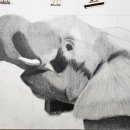AnT작업실 | 은평구 AnT 화실 그림 모작 35회차 후기 성인 취미 미술학원 추천 리뷰