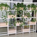 완산도서관 화장실 이미지