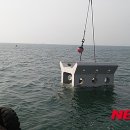 인공어초 뉴시스