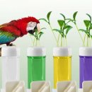 애완상회 이미지