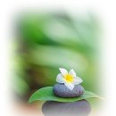 뜨는 돌 이미지