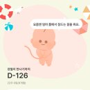 (주)모비아넷 | 임신 22-23주차 : 임신축하선물·포그내 아기띠 구매·기갈대 당근후기