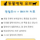 동물병원 유피 이미지
