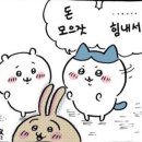 방배천로5-34 이미지