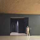 리움미술관 | 한남동 리움미술관 관람 후기 도심 속 예술 산책