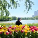 임덕수가든 | 2024 고양 국제 꽃박람회 관람 후기 포토스팟 안내
